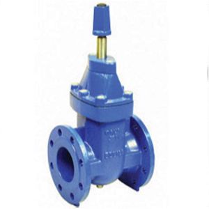 Resilient Seat Gate Valve - Cap Top, RHC